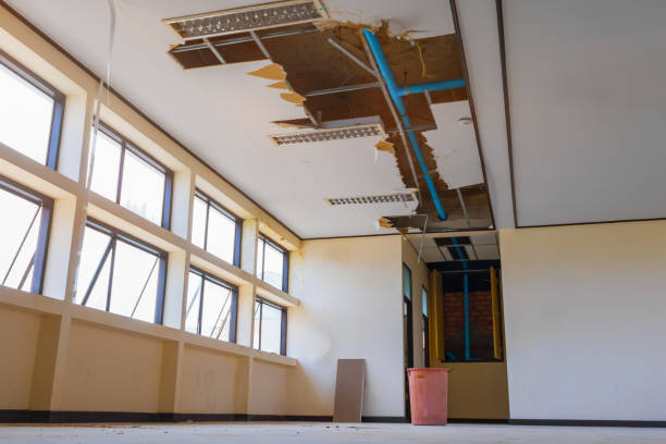 Best Carpet water damage restoration  in The Galena Territory, IL