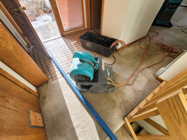 Best Water damage restoration near me  in The Galena Territory, IL