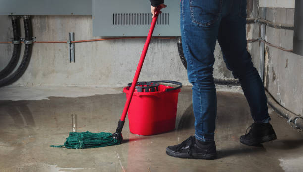  The Galena Territory, IL Water damage restoration Pros
