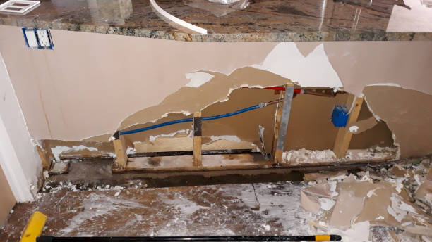 Best Commercial water damage restoration  in The Galena Territory, IL