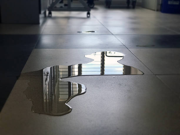 Best 24-hour water damage restoration  in The Galena Territory, IL