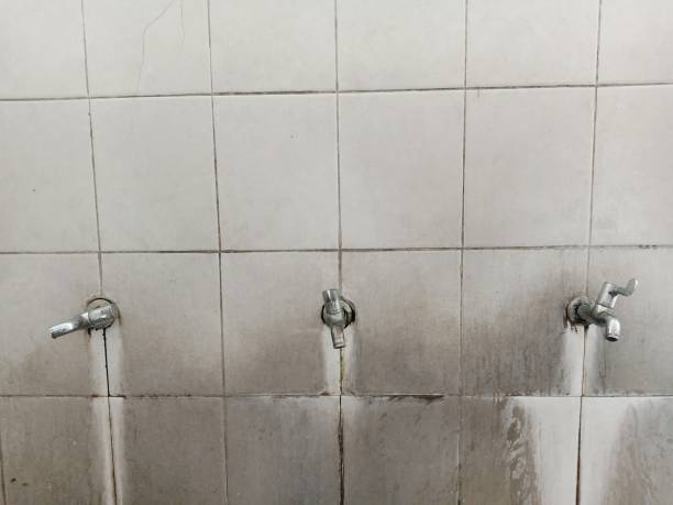Best Water damage restoration near me  in The Galena Territory, IL