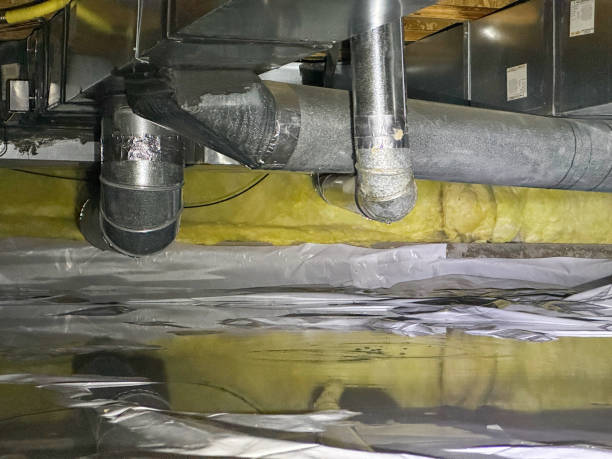 Best Flood restoration services  in The Galena Territory, IL