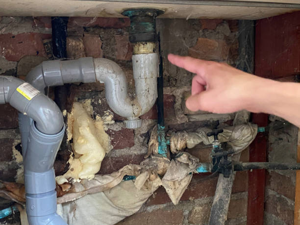 Best Basement water damage restoration  in The Galena Territory, IL