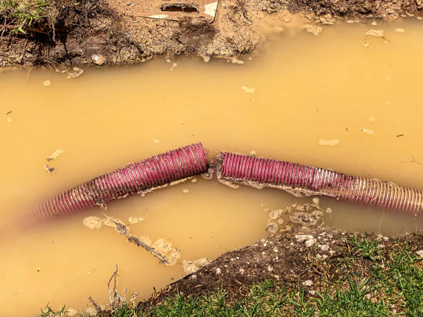 Best Local water damage restoration  in The Galena Territory, IL