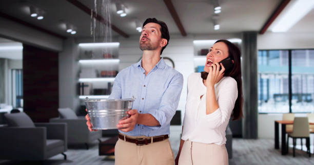 Best Fire Damage Restoration  in The Galena Territory, IL