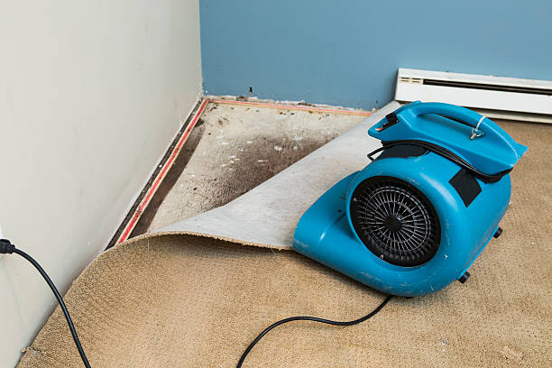 Best Professional water damage repair  in The Galena Territory, IL