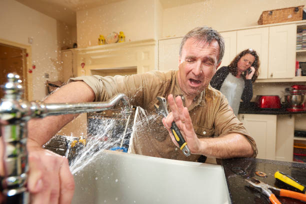 Best Water damage contractors near me  in The Galena Territory, IL